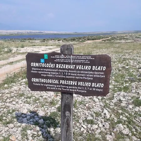 Zdenka *